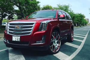 Cadillac Escalade on Forgiato Wheels (Insetto-M) '2017